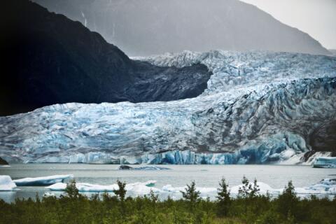 Alaska, jääliustikud