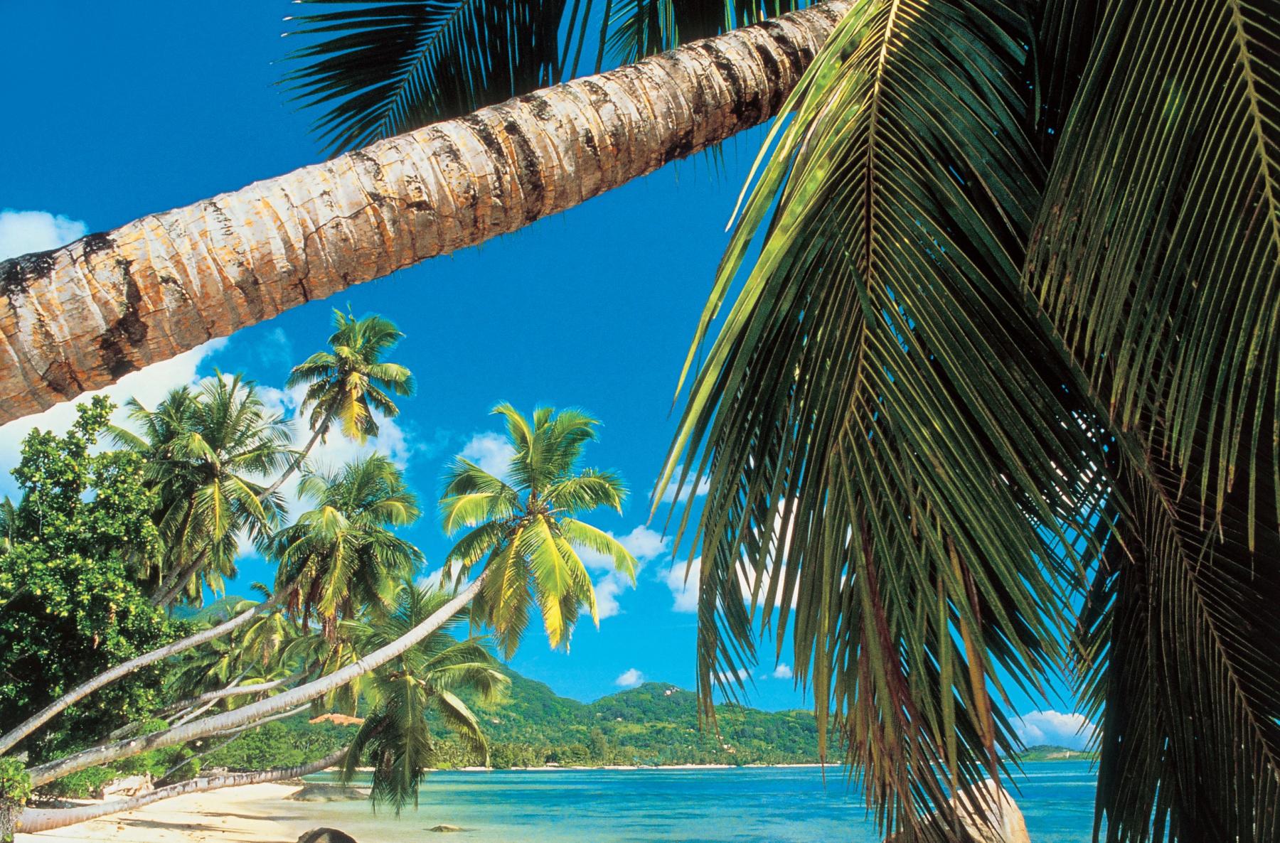 India ookeani kruiis Mauritius, Seishellid, Madgaskar, Reunion. Lennud Helsingist hinnas!